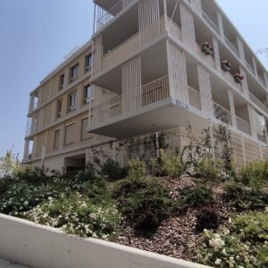 IMG_20230711_124132