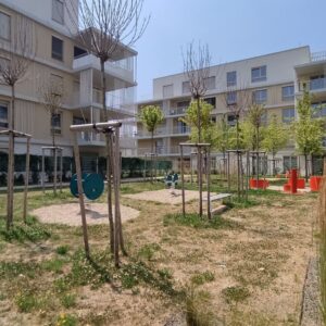 IMG_20230711_124404